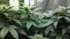 20150501_115355.jpg