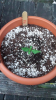 Screenshot_2015-05-06-21-56-18.png