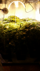 Screenshot_2015-05-08-16-59-14.png
