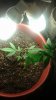 20150502_223214.jpg