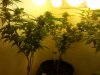 capture_2015-05-02-12-06-17.jpg