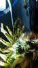 20150512_095903.jpg