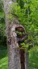 20150513_173752.jpg