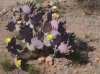 20150506_160434.jpg
