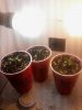 20150515_003233.jpg
