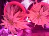 20150516_042254.jpg