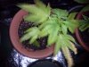 20150516_134009.jpg