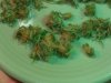 20150516_224621.jpg