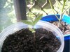 100_0335.JPG