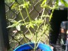 100_0336.JPG