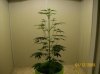 100_0212.jpg