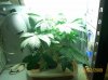 100_0216.jpg
