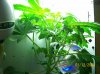 100_0218.jpg