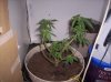 100_1268.jpg
