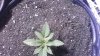 WIN_20150518_000136.JPG