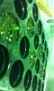 IMG-20150429-WA0031.jpeg