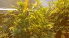 20150518_160457.jpg