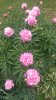 IMAG0573.jpg