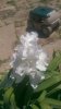 IMAG0516.jpg