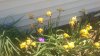 IMAG0512.jpg