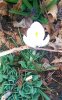 IMAG0229_1.jpg