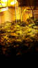 Screenshot_2015-05-23-17-05-32.png