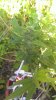 IMAG0060.jpg