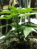 20150524_080843.jpg