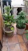 20150526_141615.jpg