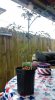 IMAG0395.jpg