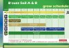 düngeschema%20b'cuzz.jpg