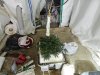 DSCN1028.JPG