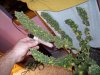 100_0084.jpg