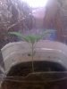 01-14-09_1023.jpg