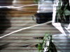 PICT0017.jpg