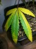 2015053195175246.jpg