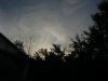 grow pics 078.jpg