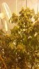 20150602_055636.jpg