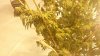 20150602_055631.jpg