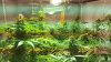 20150527_082924.jpg