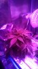 IMG_20150603_095235863.jpg