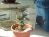 DSC00943.JPG