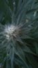 20150606_114201.jpg