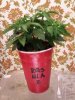 20150606_113916.jpg