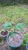 WP_20150608_003.jpg