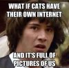 keanucat.jpg