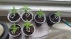 20150602_092734.jpg 20150602_092734.jpg