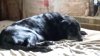 20150604_152548.jpg