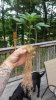 20150604_171716.jpg