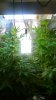 WP_20150611_18_45_56_Pro.jpg